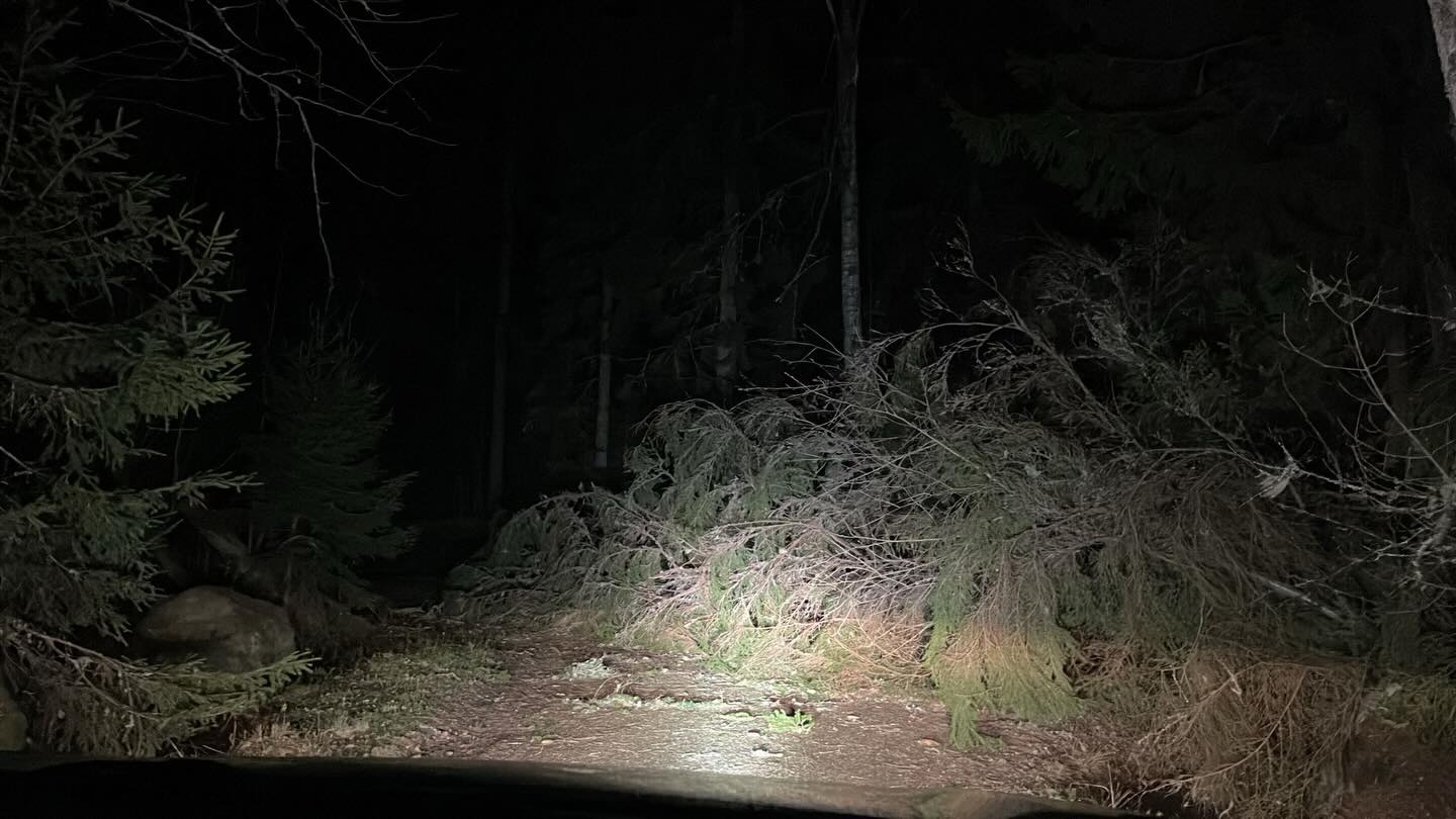 Kylätalolla on sähköä, lämpöä ja vettä (ainakin toistaiseksi!) ⚡🔥💧

Jos sinulla on tarvetta, ole yhteydessä kyläyhdistykseen.

Linjaraivaajien arvion mukaan osassa Kellahtea sähköt saadaan takaisin aikaisintaan huomenna, mikäli viat saadaan paikannettua.

#hannesmyrsky 
#kellahdenkylätalo