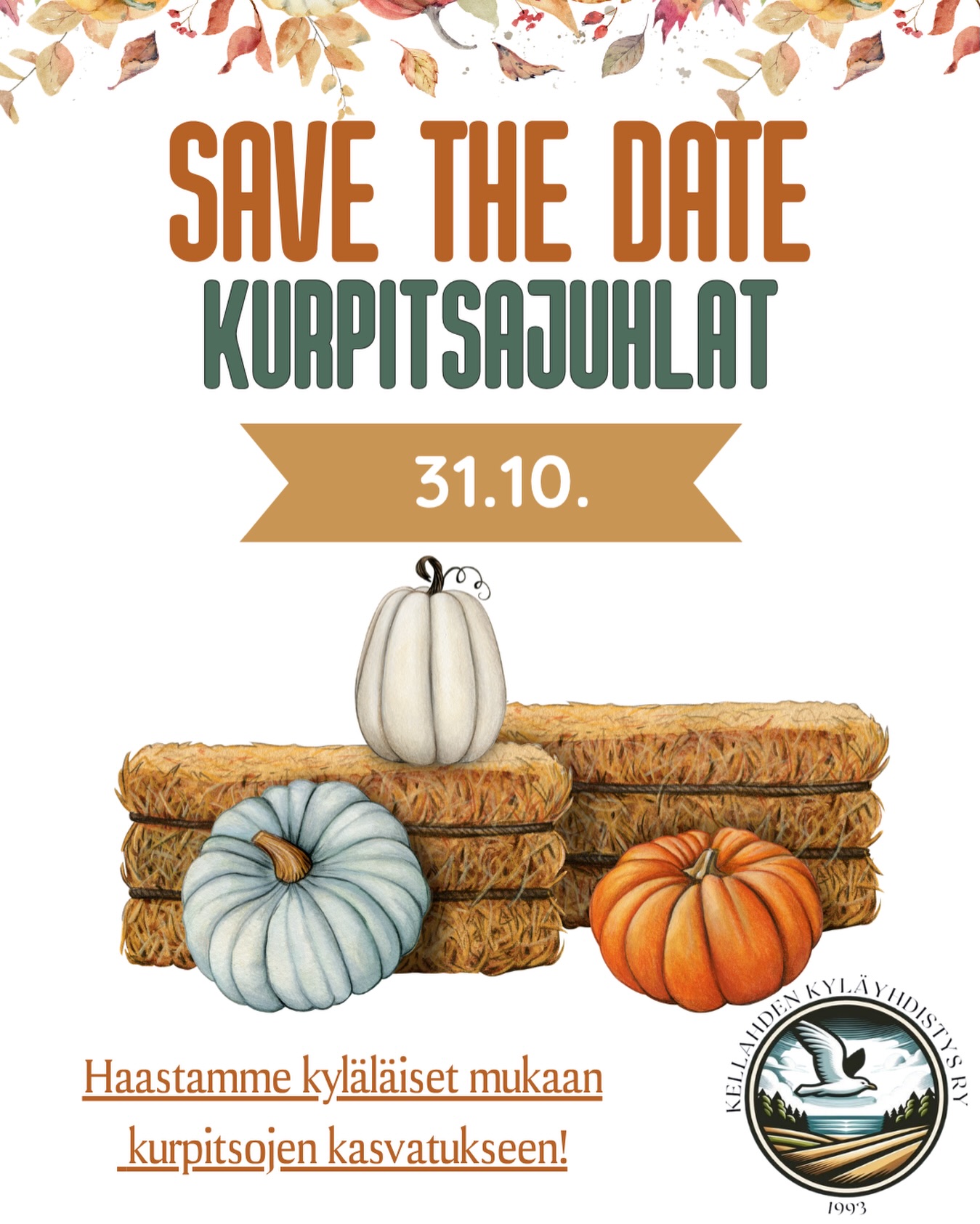 🎃✨ SAVE THE DATE – KELLAHDEN KURPITSAJUHLAT ✨🎃
Laita kalenteriin jo nyt:
🗓️ 31.10.2026

👉 Ota päivämäärä talteen ja pysy kuulolla – tarkemmat tiedot tapahtumasta julkaistaan myöhemmin.

Kellahden kyläyhdistys haastaa kaikki kyläläiset kasvattamaan kurpitsoja tapahtumaan! 
Kuka kasvattaa suurimman, komeimman tai erikoisimman kurpitsan?🌱🎃

Lähde rohkeasti mukaan haasteeseen!🎃✨

#kellahti #kurpitsa #kellahdenkyläyhdistys #kellahdenkylätalo #haaste